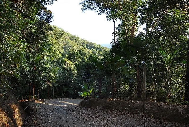 Cloud 9 Villa Daintree Australia